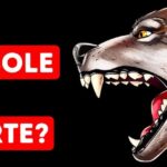 La Verità Svelata: Ce l’ha piccolo e viene subito – Il Segreto della Soddisfazione Maschile