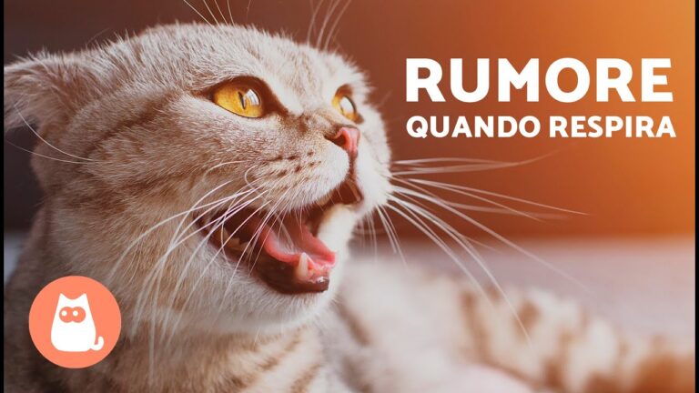 Respiro rumoroso dal naso: cause e rimedi per il fastidioso problema