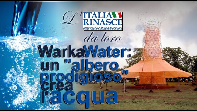 Scopri come realizzare il tuo Warka Water fai da te e purifica l’acqua!