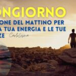 Ridi con i nuovi link divertenti che ti faranno scoppiare dal ridere!