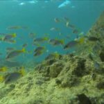 Sfida l’autunno con viaggi caldi a novembre: idee imperdibili!