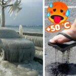 Gli Acquari più Incantevoli del Mondo: Scopri i 10 più Belli!