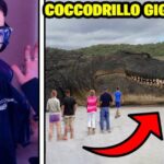 Gli Acquari più Incantevoli del Mondo: Scopri i 10 più Belli!