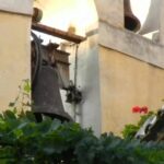 Il fascino del Monte Valenza Zoo: scopri gli orari di visita!