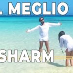Scopri la magica Isola di Wight: un paradiso nascosto a portata di viaggio!