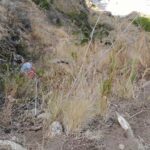 Guida veloce: Grottammare Alta