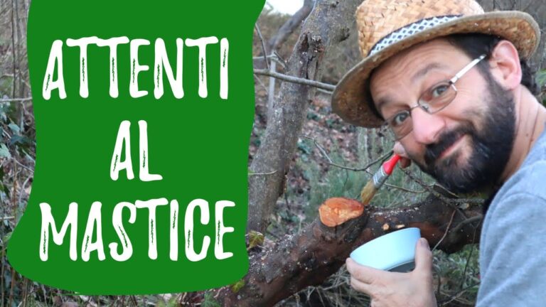 Scopri come Betadine accelera il processo di cicatrizzazione in soli 3 giorni!