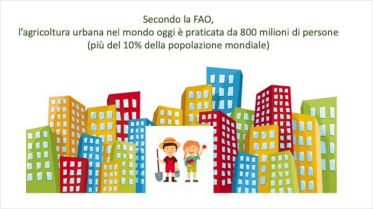 Orto urbano gratis: segreti per coltivarlo con il supporto del comune!