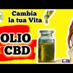 Cachi: i Superfrutti dal Potere Nutriente!