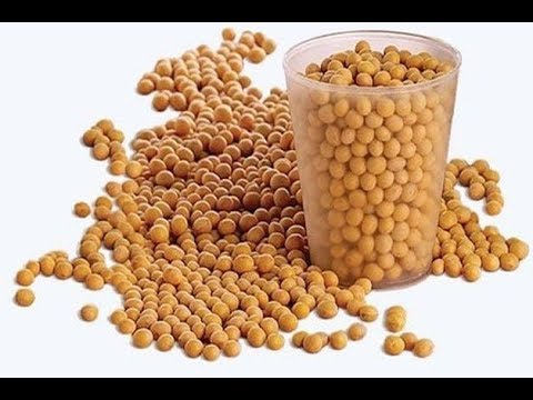 Le 5 migliori fonti proteiche per una dieta sana: scopri in quali alimenti!
