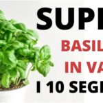 Acqua e sale: il rimedio segreto contro le contusioni