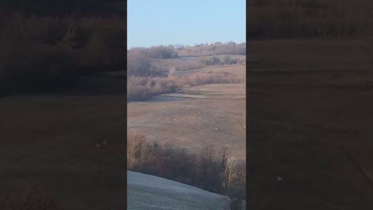 Pi&ugrave; caldo di Roma: scopri quanti gradi ci sono a Piacenza!