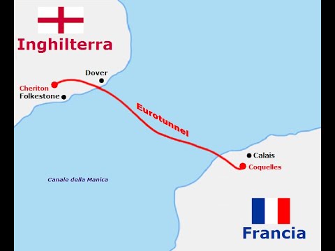 Viaggio in Francia con Fido: Come Portare il Cane Senza Passaporto!